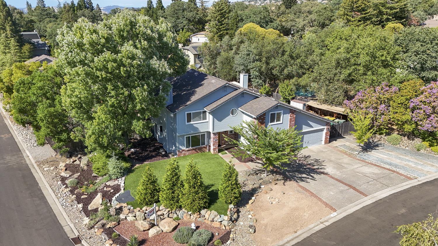 3789 Pardee Court