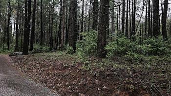 22700 Johnson Valley Road