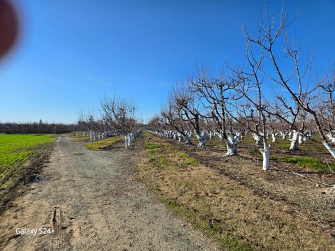 0 Andrus Island Road Isleton CA 95641