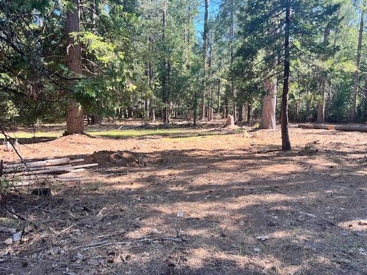 10434 WENTWORTH SPRINGS RD, GEORGETOWN, CA 95634 - Image a282bf3fb47b71e15e425dc4aa7f84be/1850832028