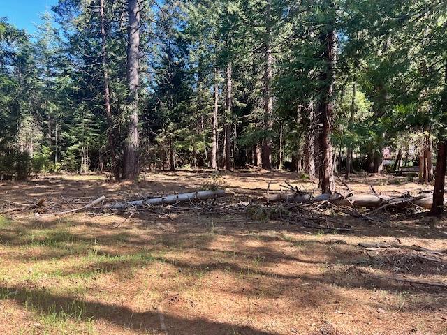 10434 Wentworth Springs Road