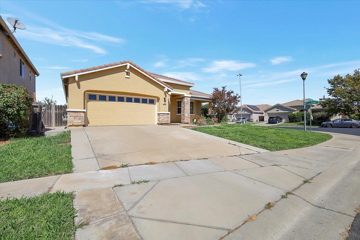 1393 Ladyfern Street