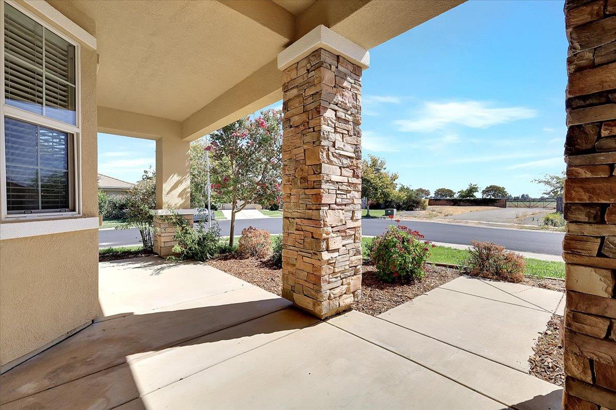 1393 Ladyfern Street