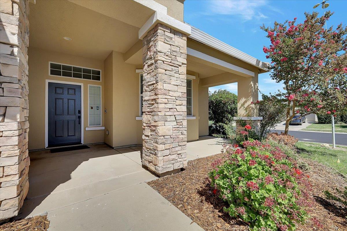 1393 Ladyfern Street
