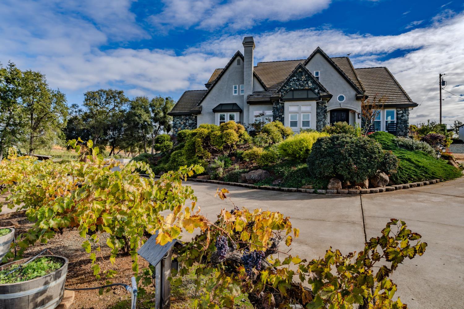 10786 Shenandoah Road