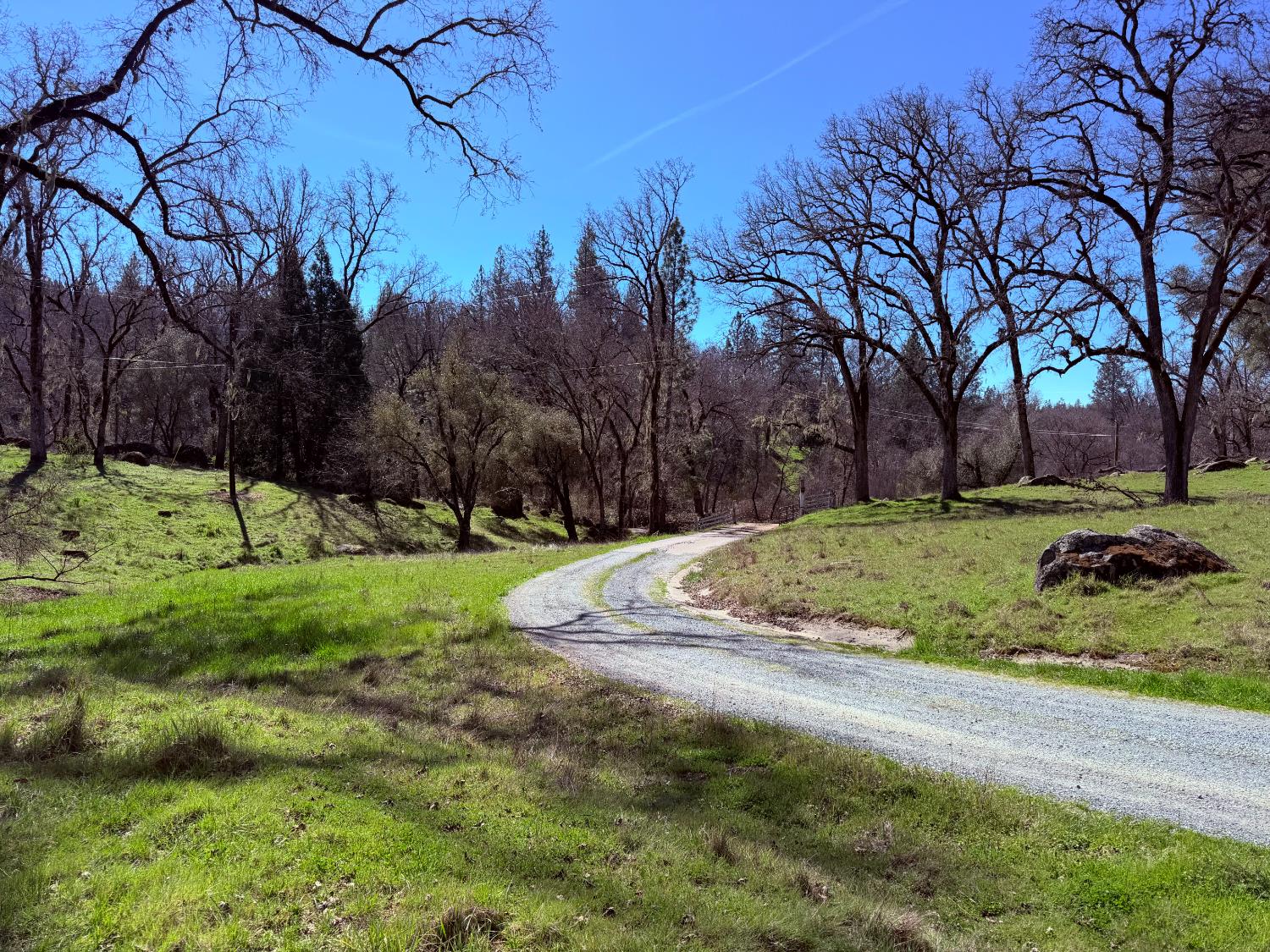 2901 Cedar Creek Road