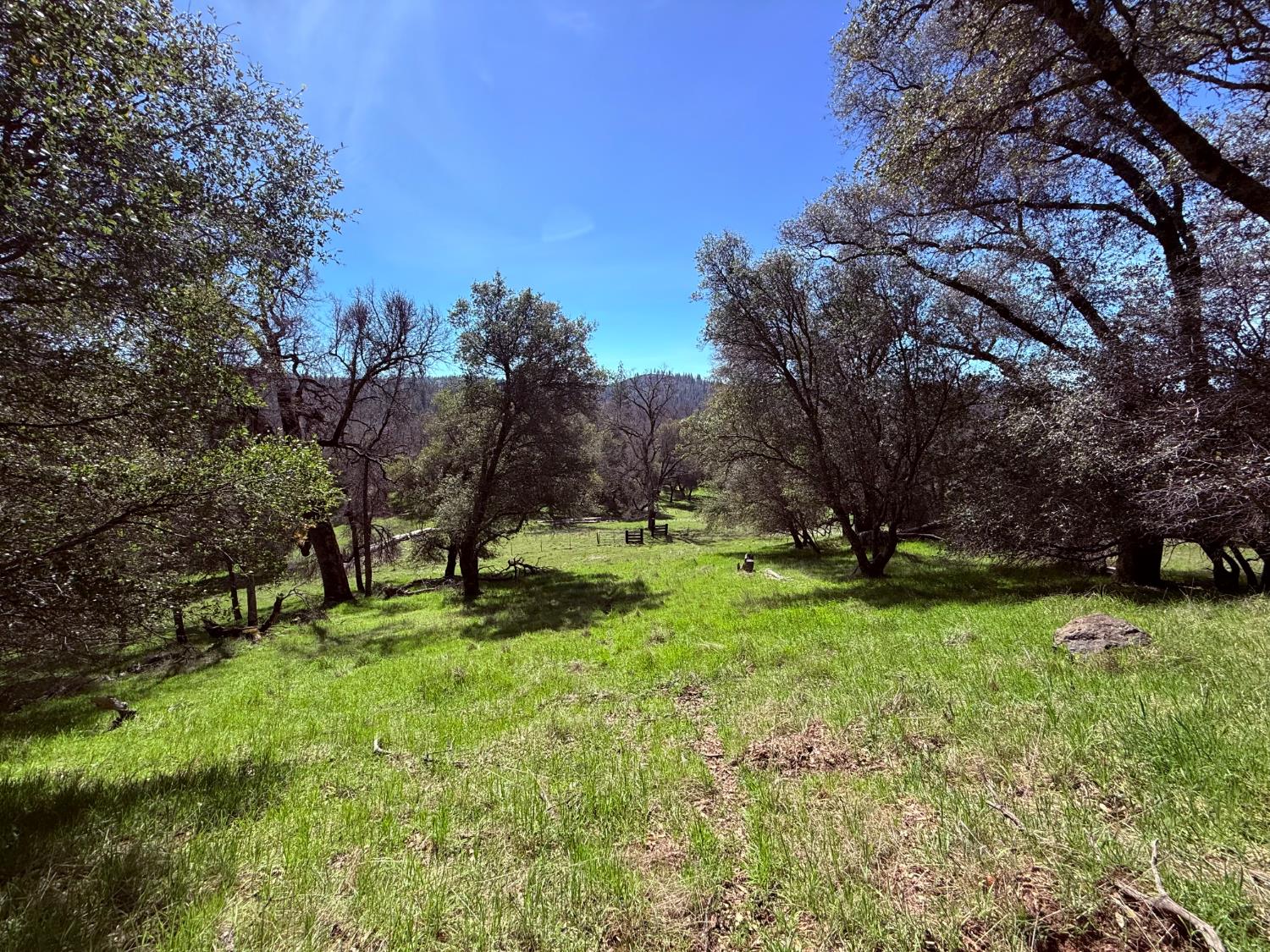 2901 Cedar Creek Road