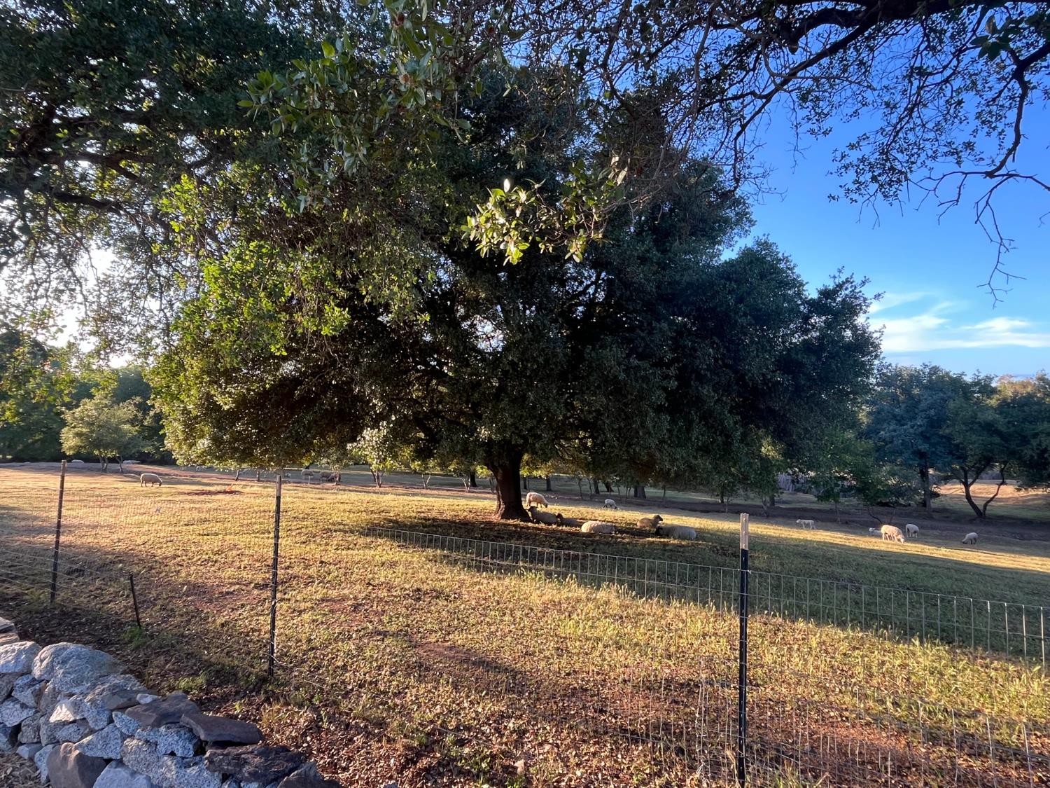 3117 Garden Bar Road