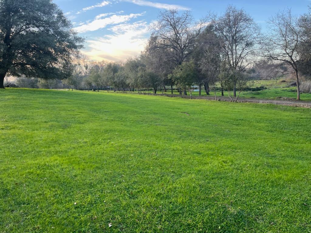 3117 Garden Bar Road