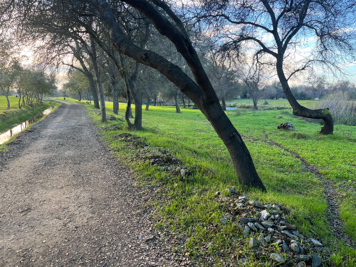 3117 Garden Bar Road