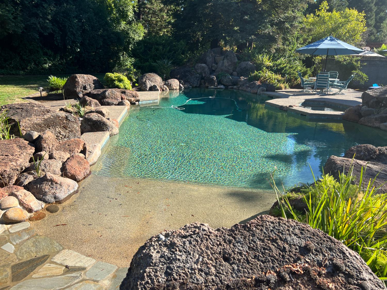 6380 Fern Leaf Drive