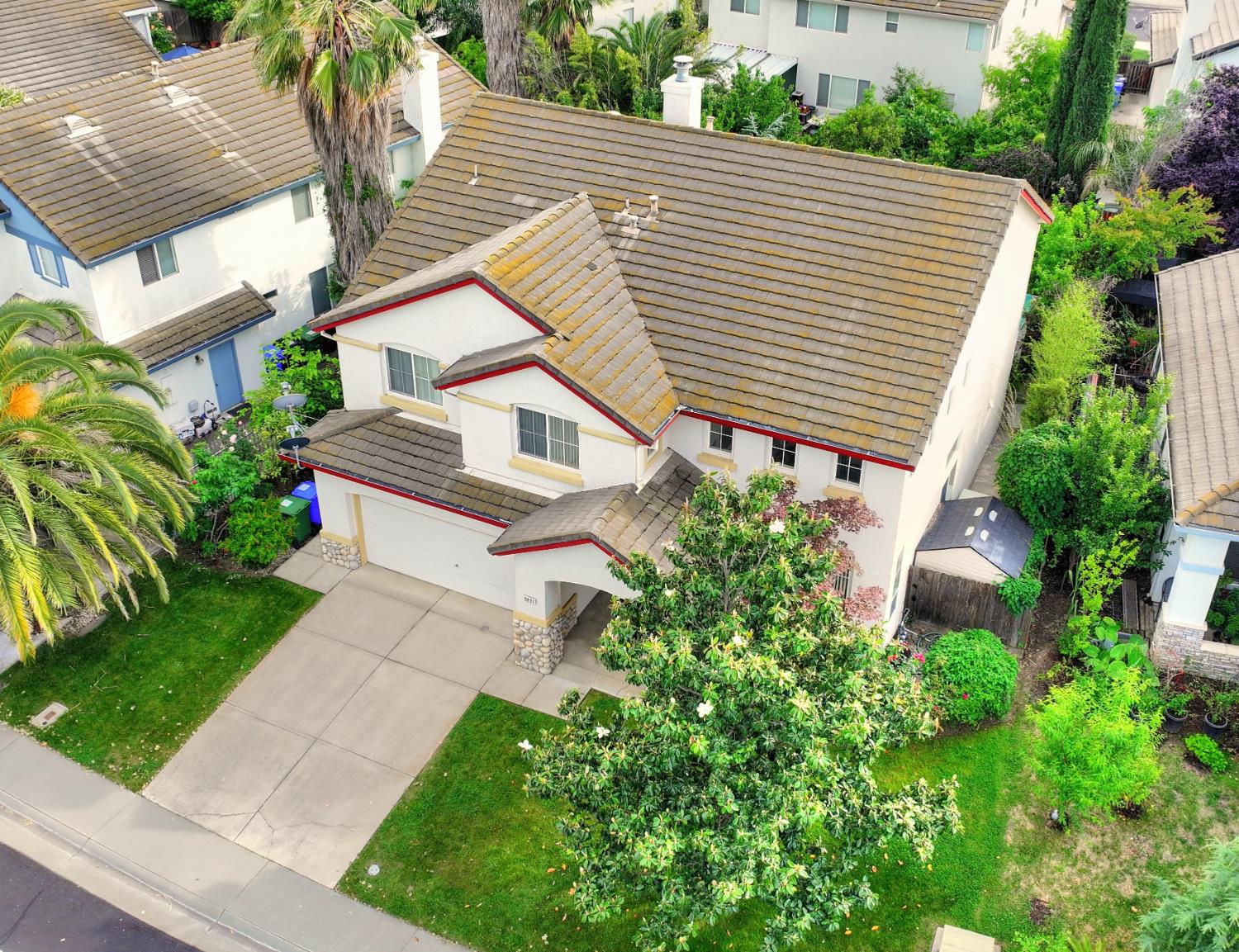 8897 Shasta Lily Drive