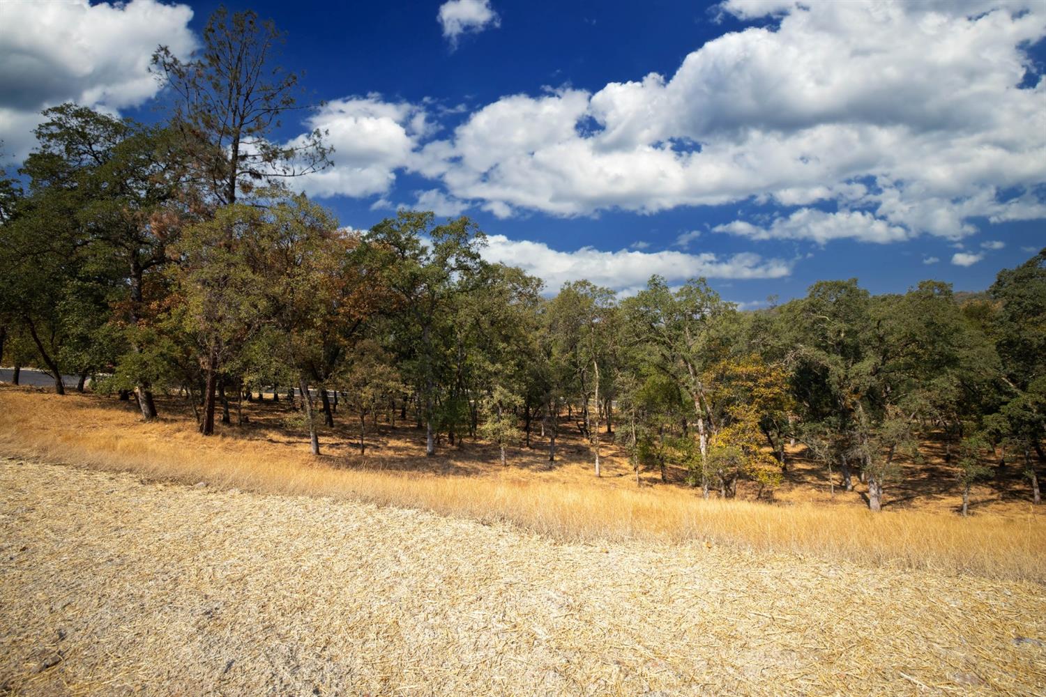 6844 Western Sierra Way