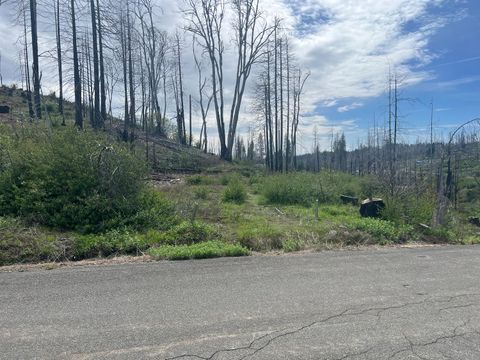 7352 Winding Way Grizzly Flats CA 95636