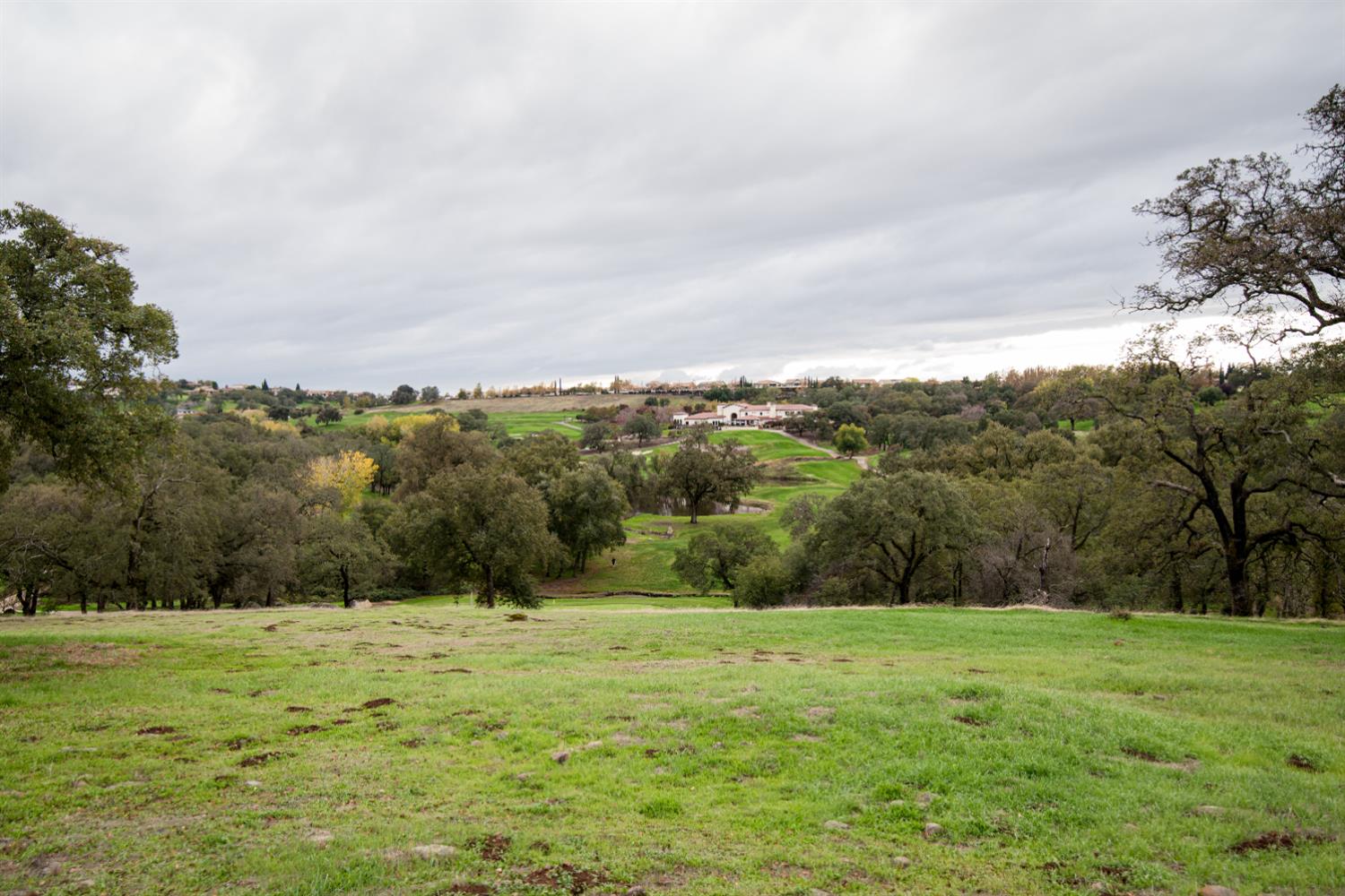 3460 Paseo Tranquilo