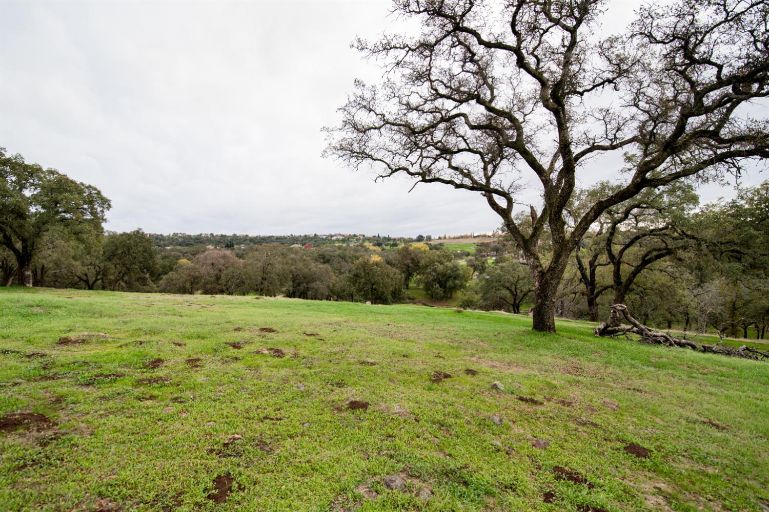 3460 Paseo Tranquilo