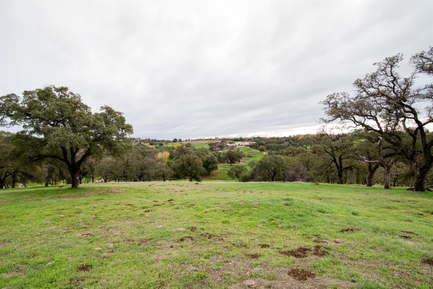 3460 Paseo Tranquilo