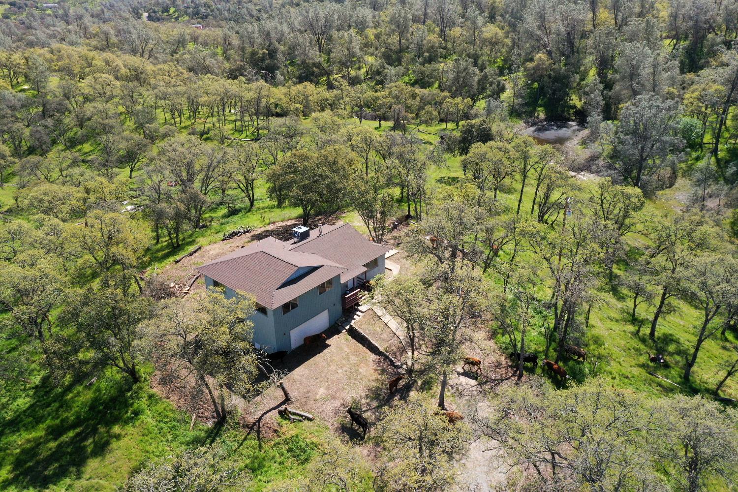 4896 Chuckwagon Drive A, B