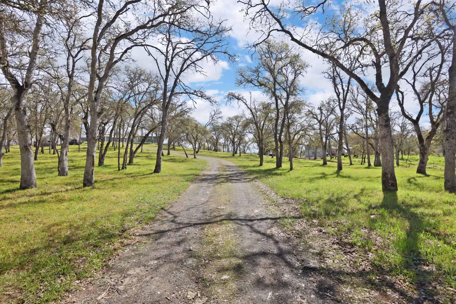 4896 Chuckwagon Drive A, B