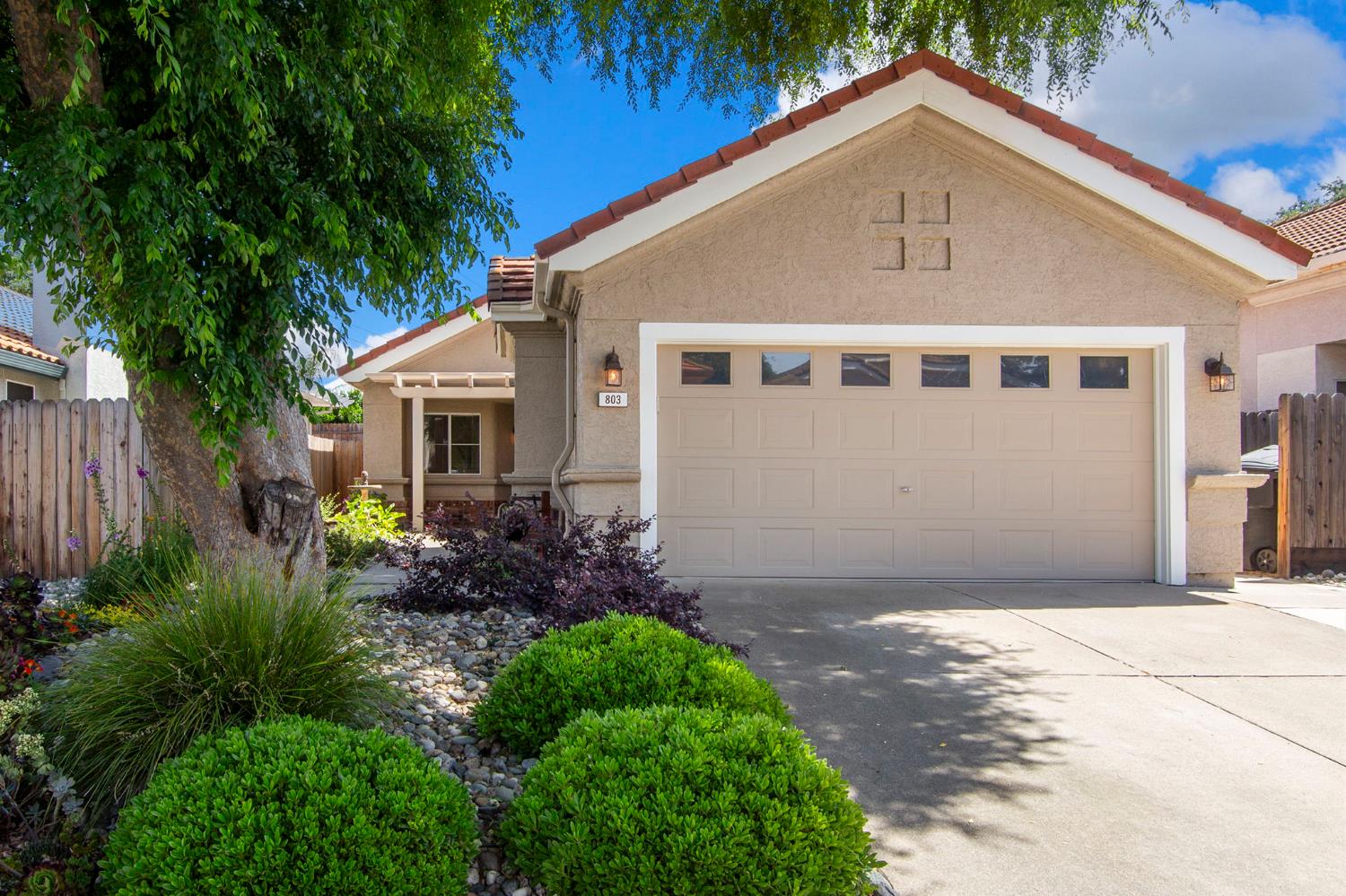 803 Reilly Court