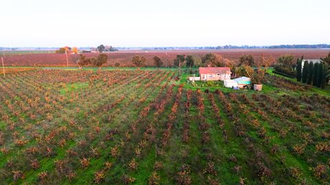 19217 N Devries Road Lodi CA 95242