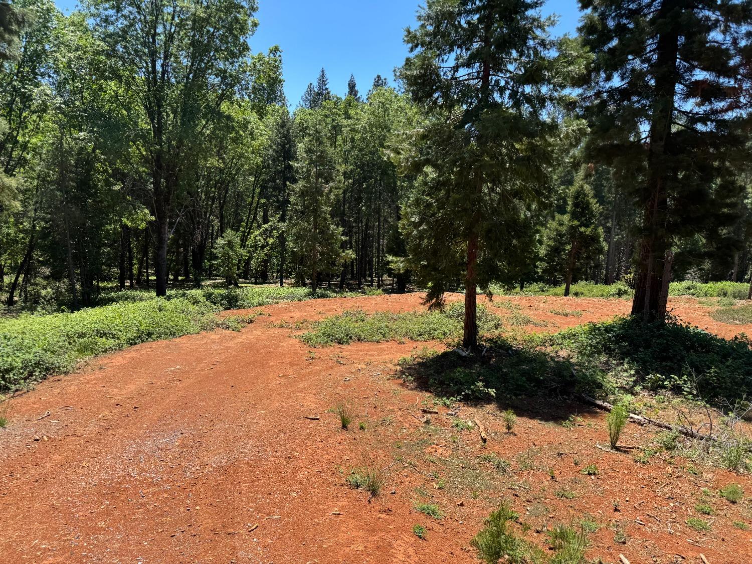 20710 Foresthill Road