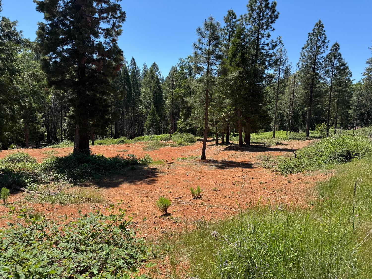 20710 Foresthill Road