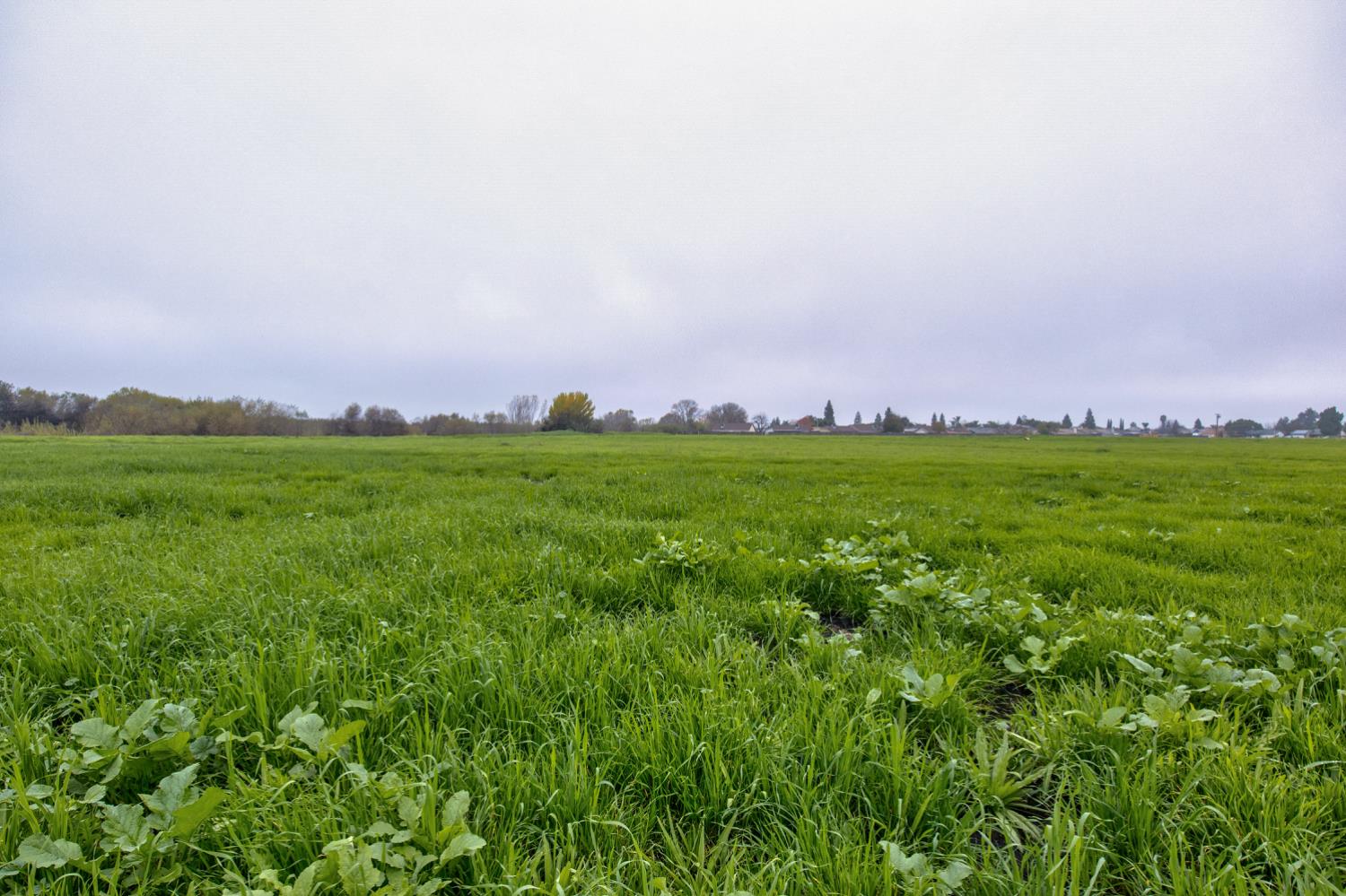 1692 S Beverly Street