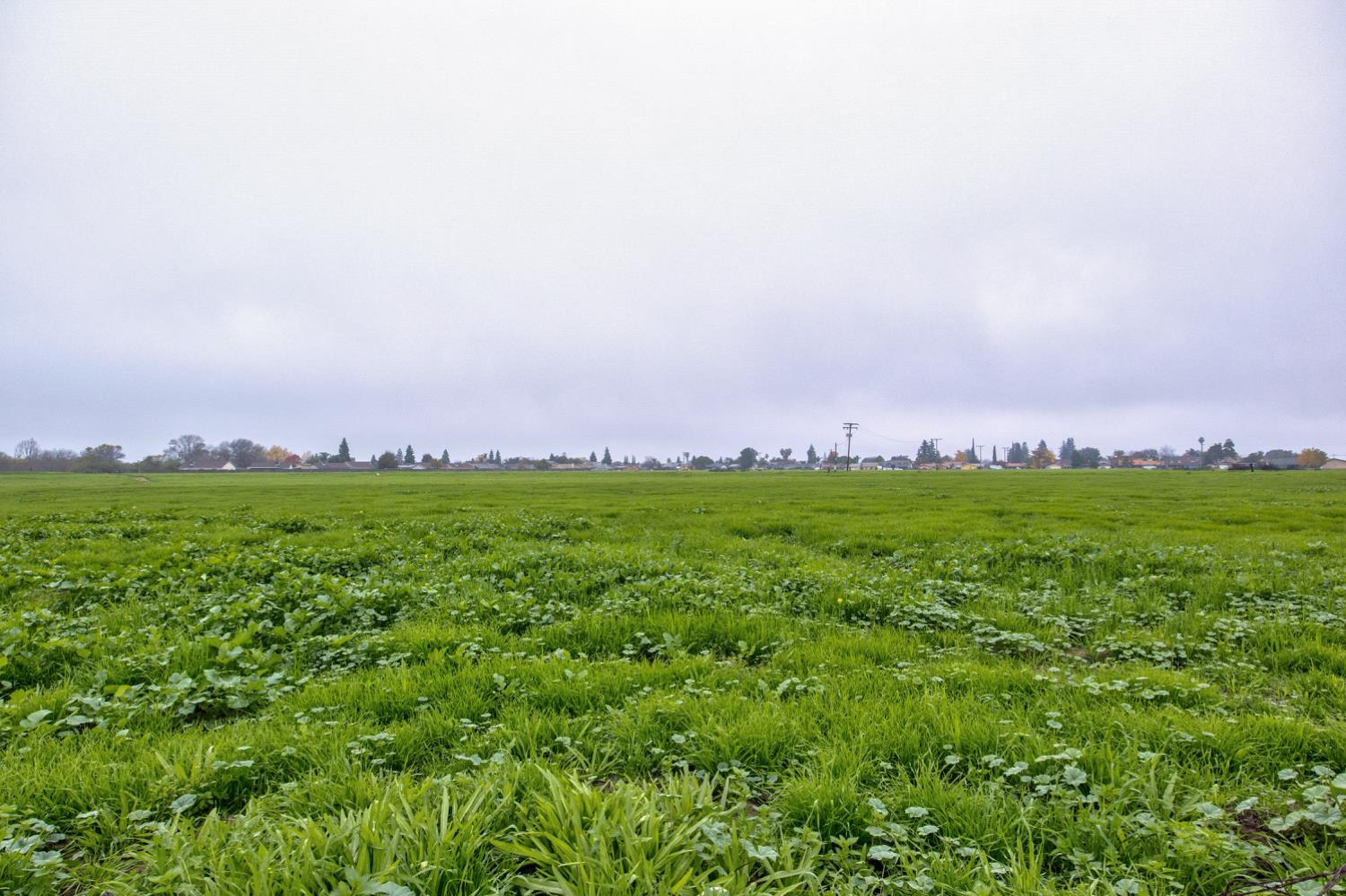 1692 S Beverly Street