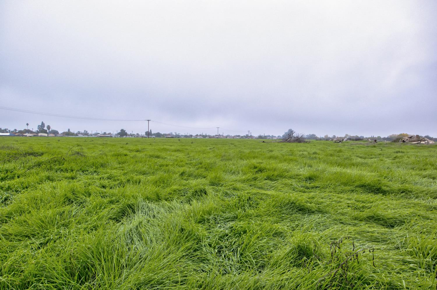 1692 S Beverly Street