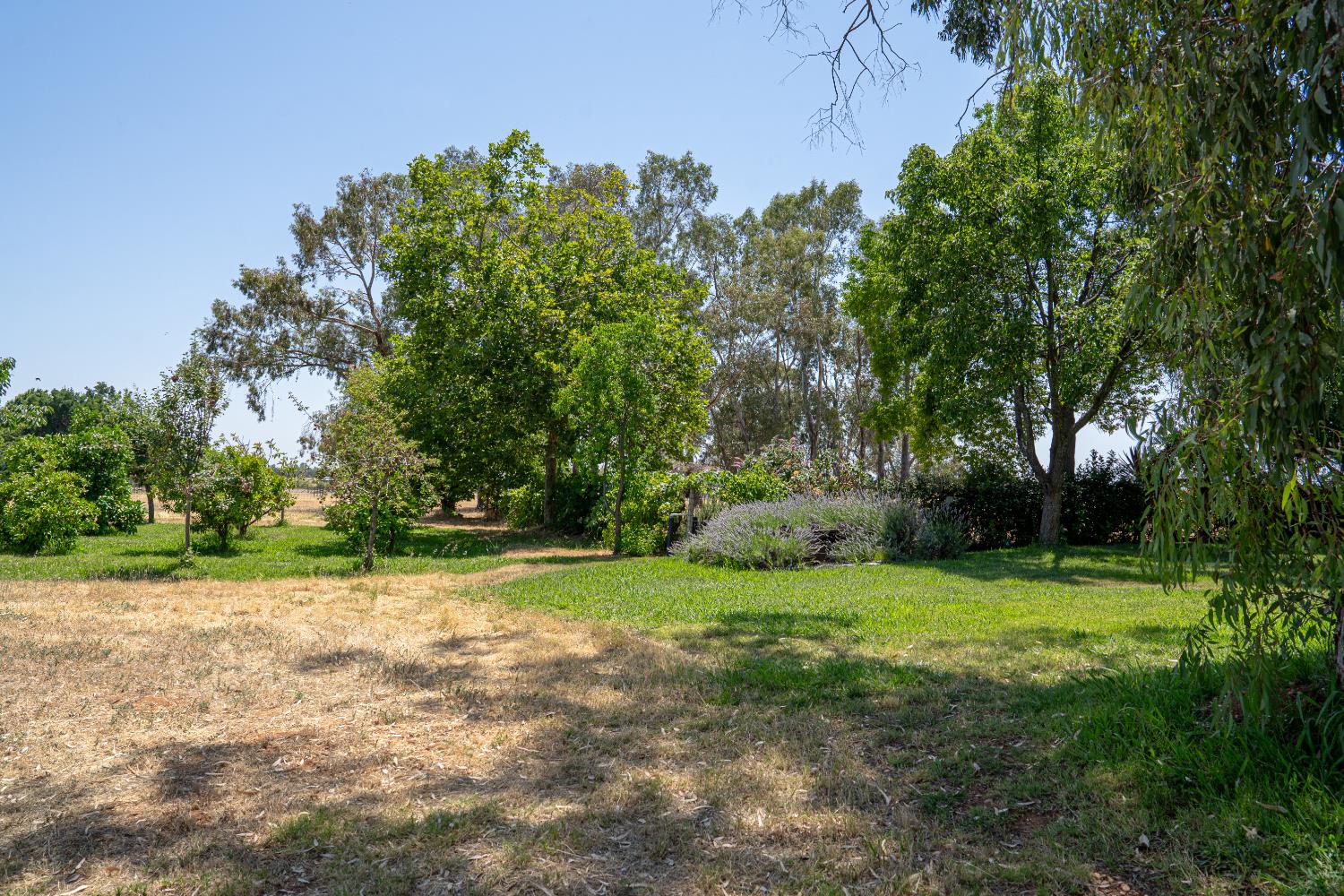 8890 Daguerra Point Drive