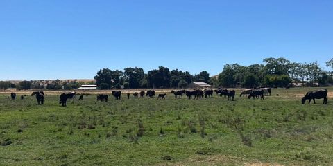 0 Morrison Road Oakdale CA 95361