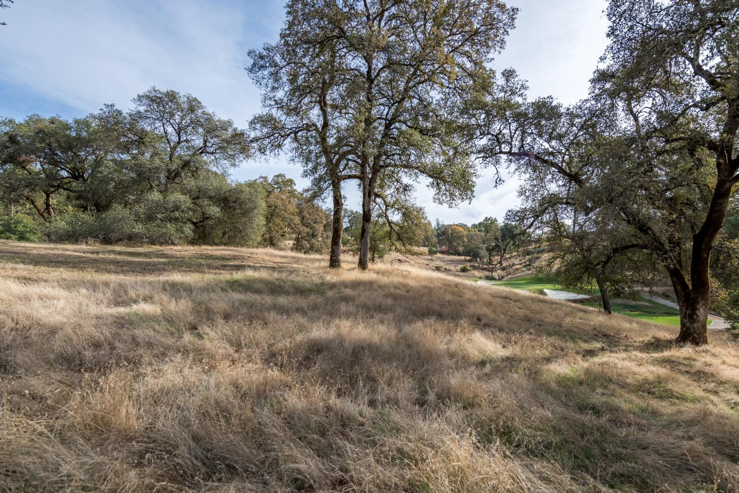 12974 Austin Forest Circle