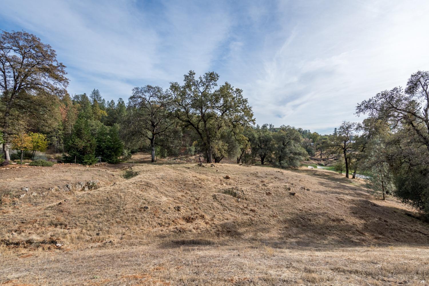 12974 Austin Forest Circle