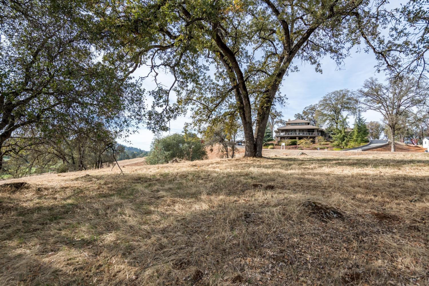 12974 Austin Forest Circle