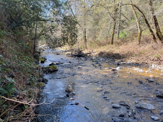 17252 SUTTER CREEK RD, SUTTER CREEK, CA 95685 - Image a58dd2aaab44e4cd58be54c136e6773f/1275997972