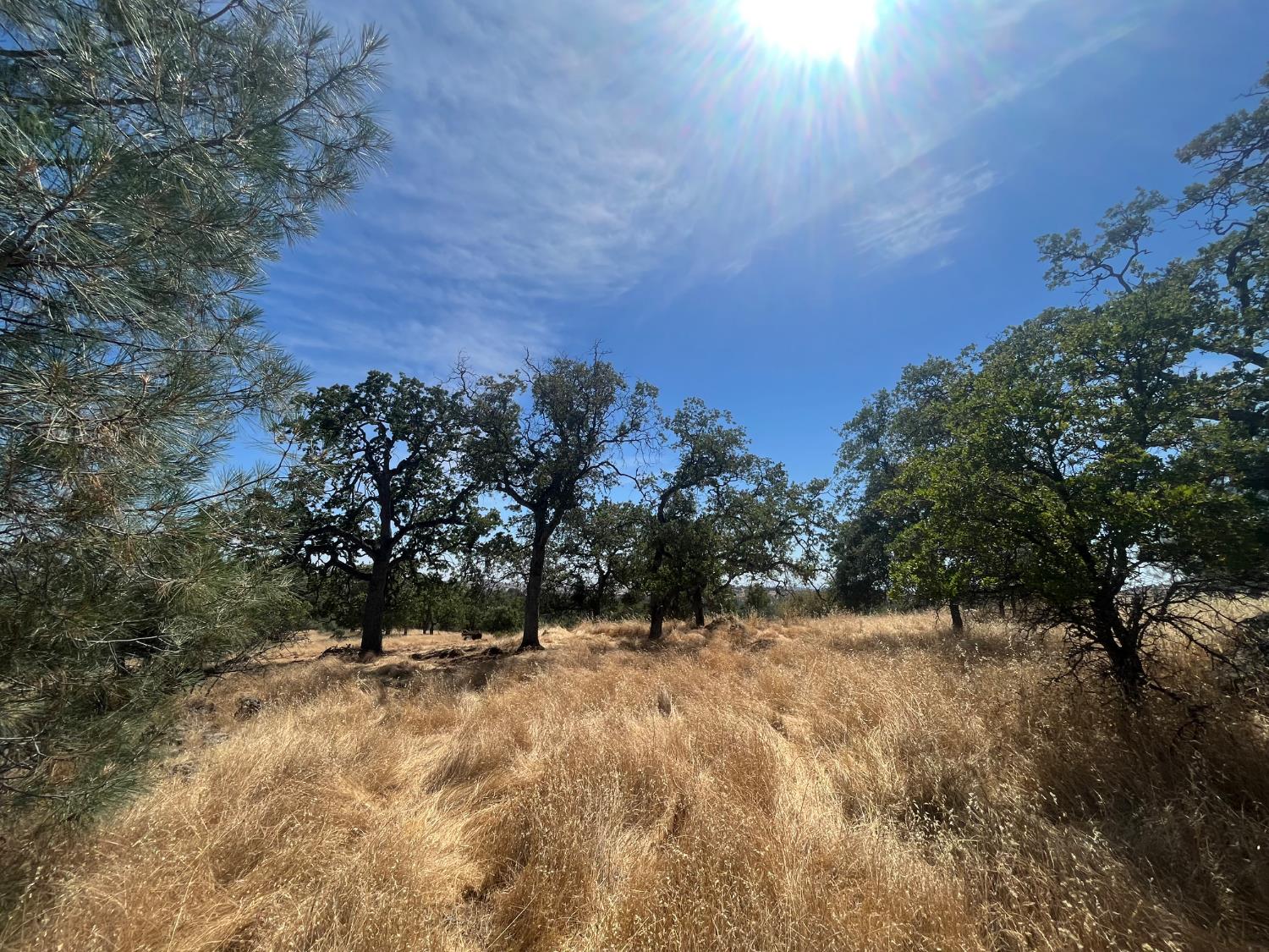 Coulterville, California 95311, United States, ,Land,Active,148612