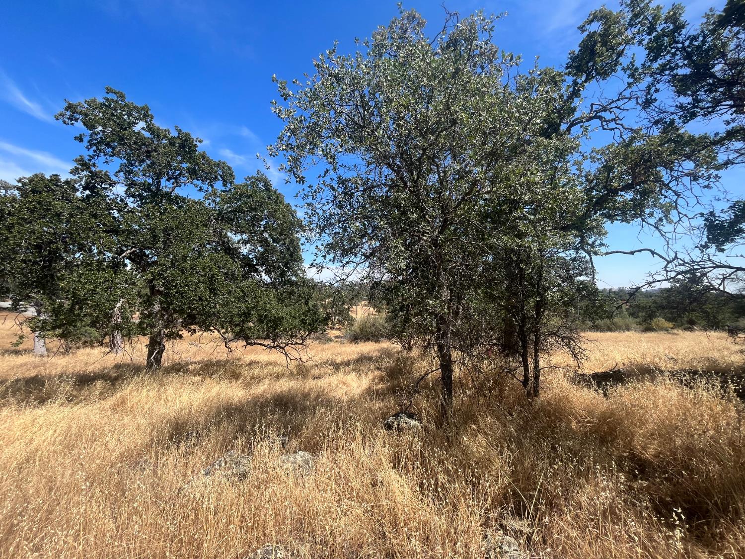 Coulterville, California 95311, United States, ,Land,Active,148612