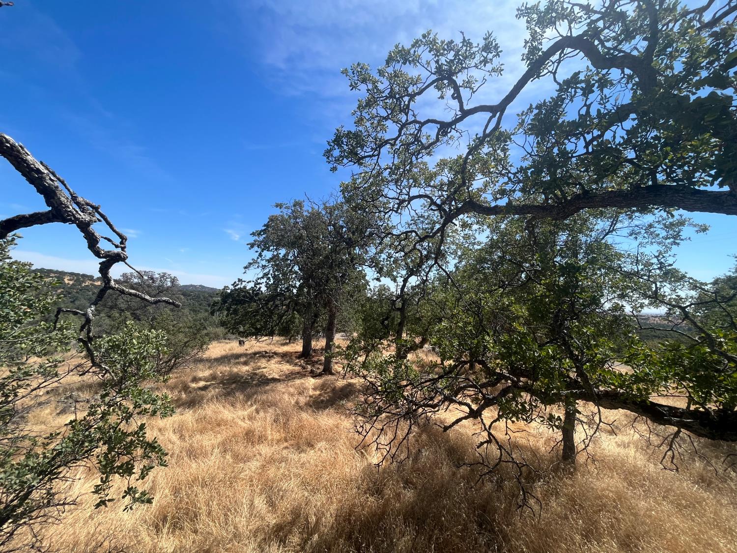 Coulterville, California 95311, United States, ,Land,Active,148612