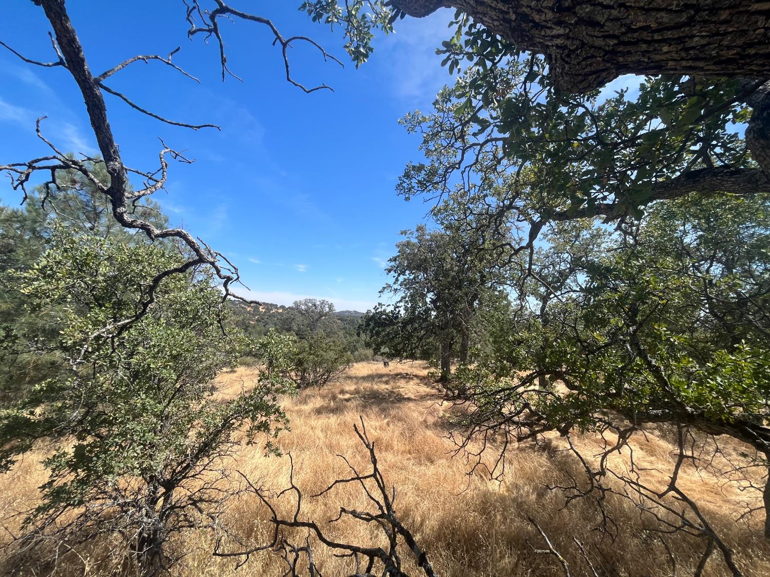 Coulterville, California 95311, United States, ,Land,Active,148612