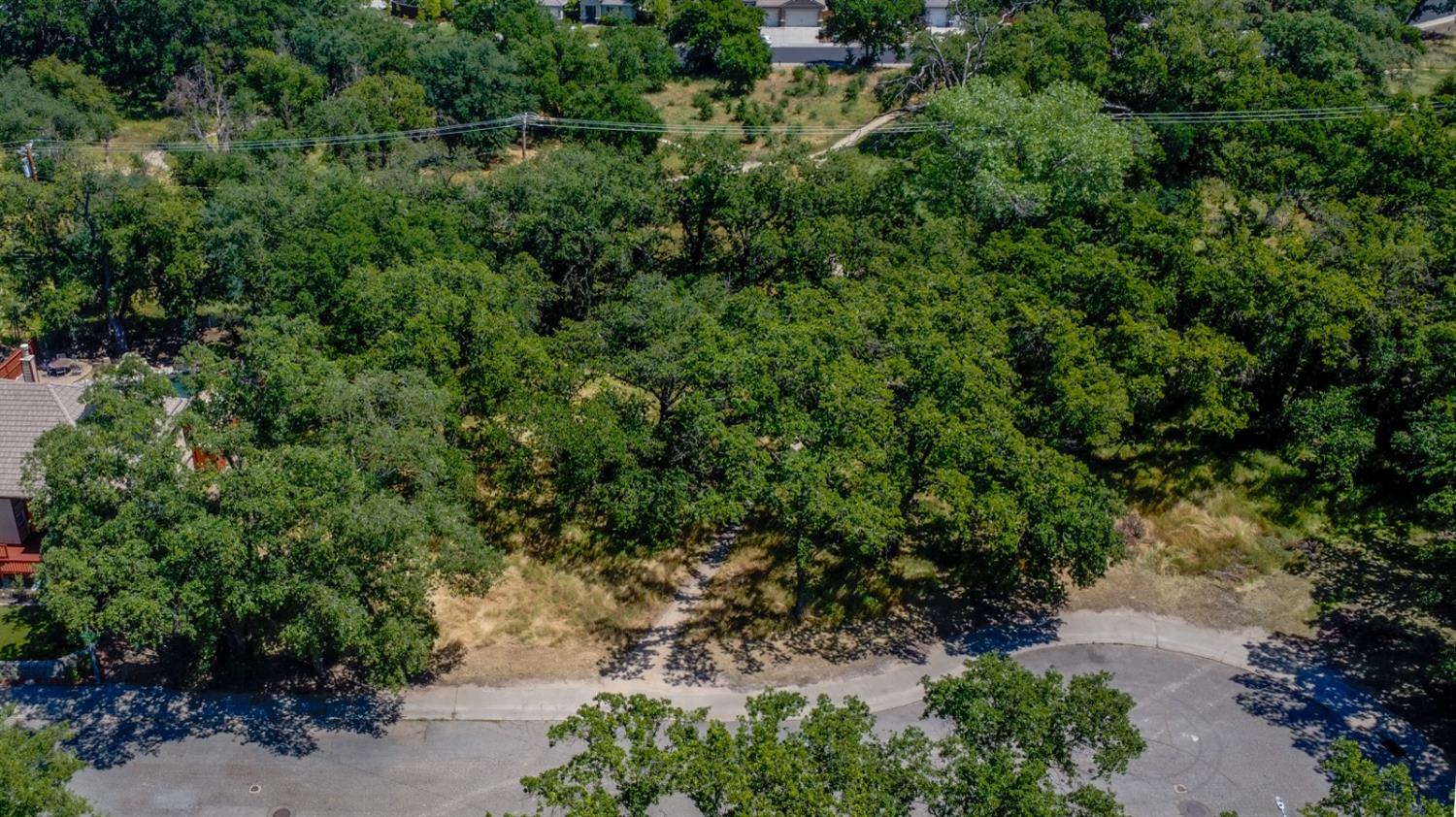 1215 Meadow Lane