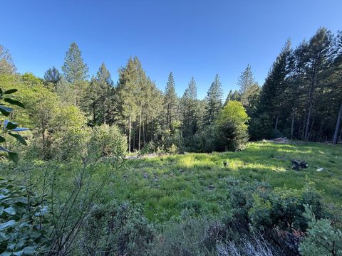 MLS: 225053987