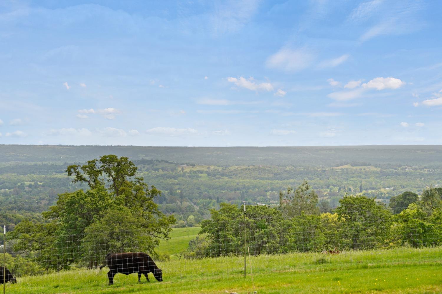 5070 Garden Bar Road