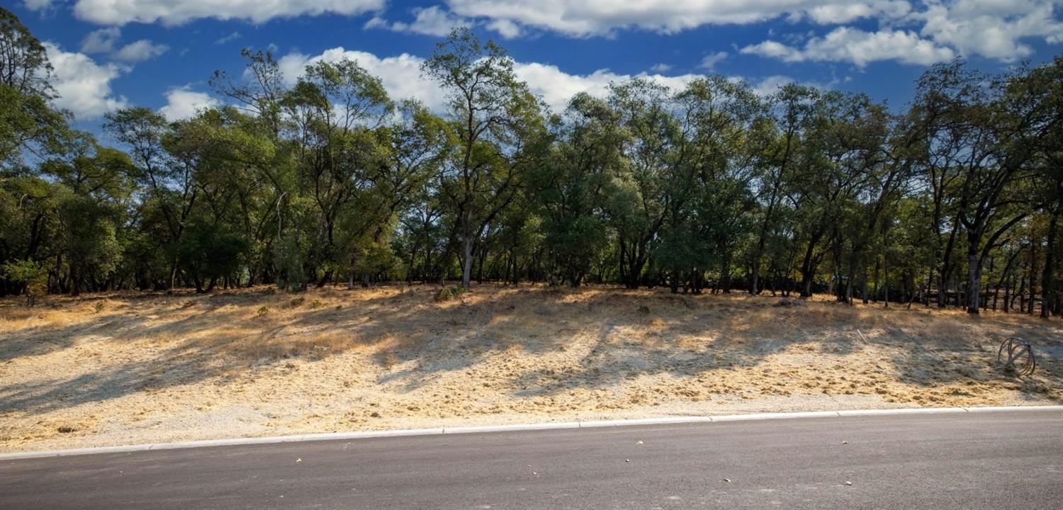 6829 Western Sierra Way