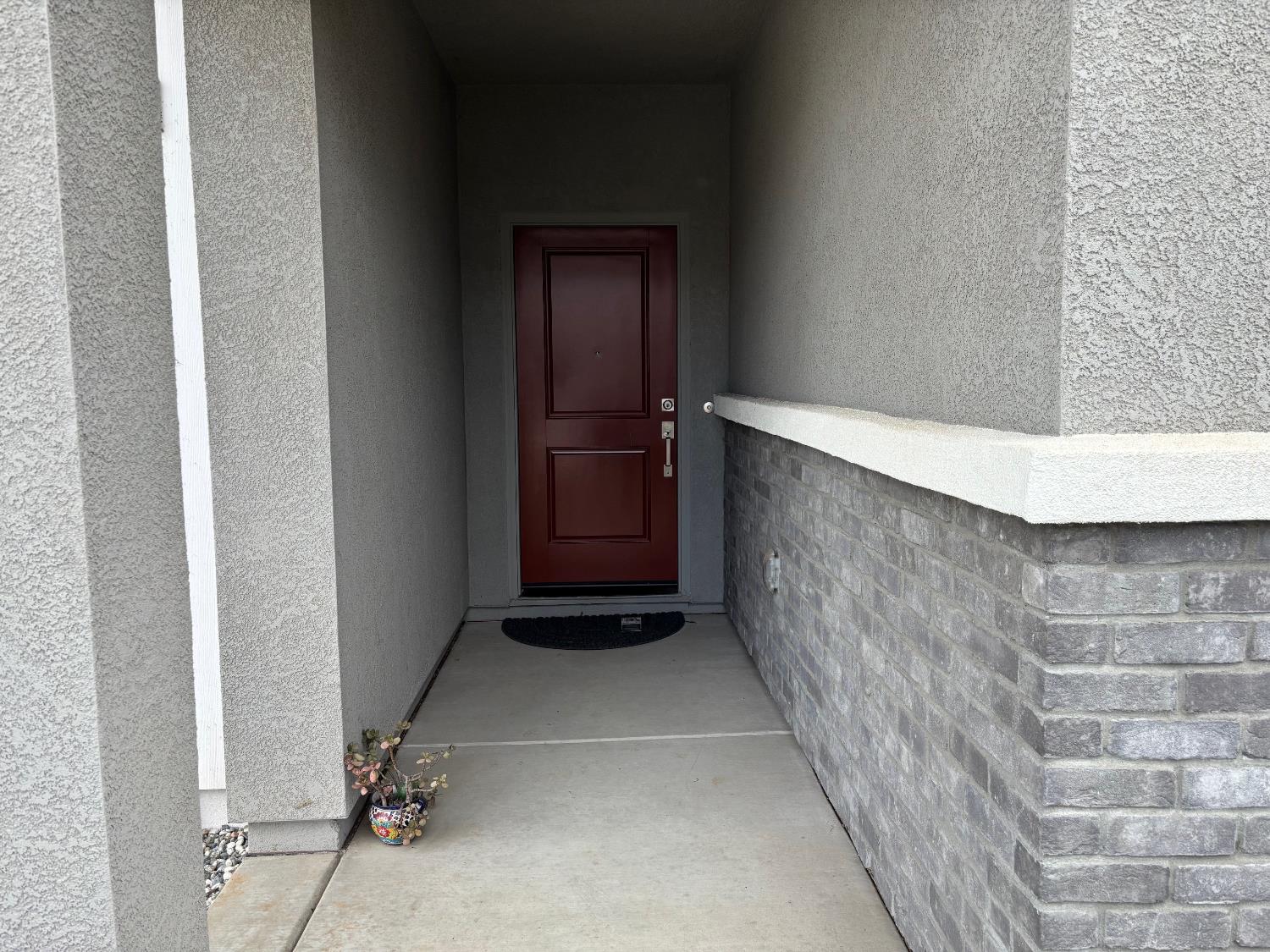 1104 Elm Terrace Way