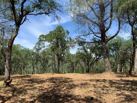 555 Jurgens Road Rescue CA 95672