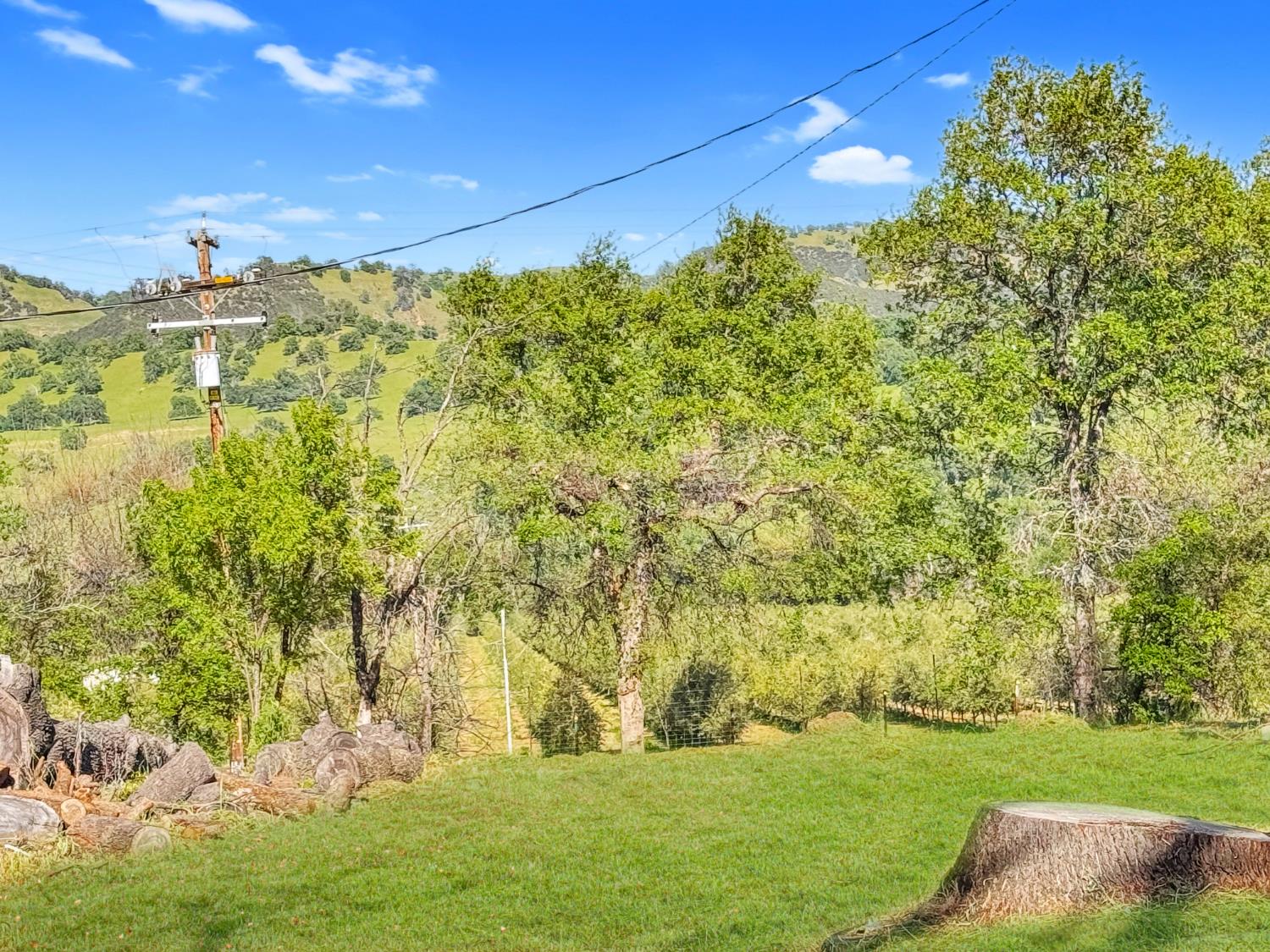 7790 State Highway 16