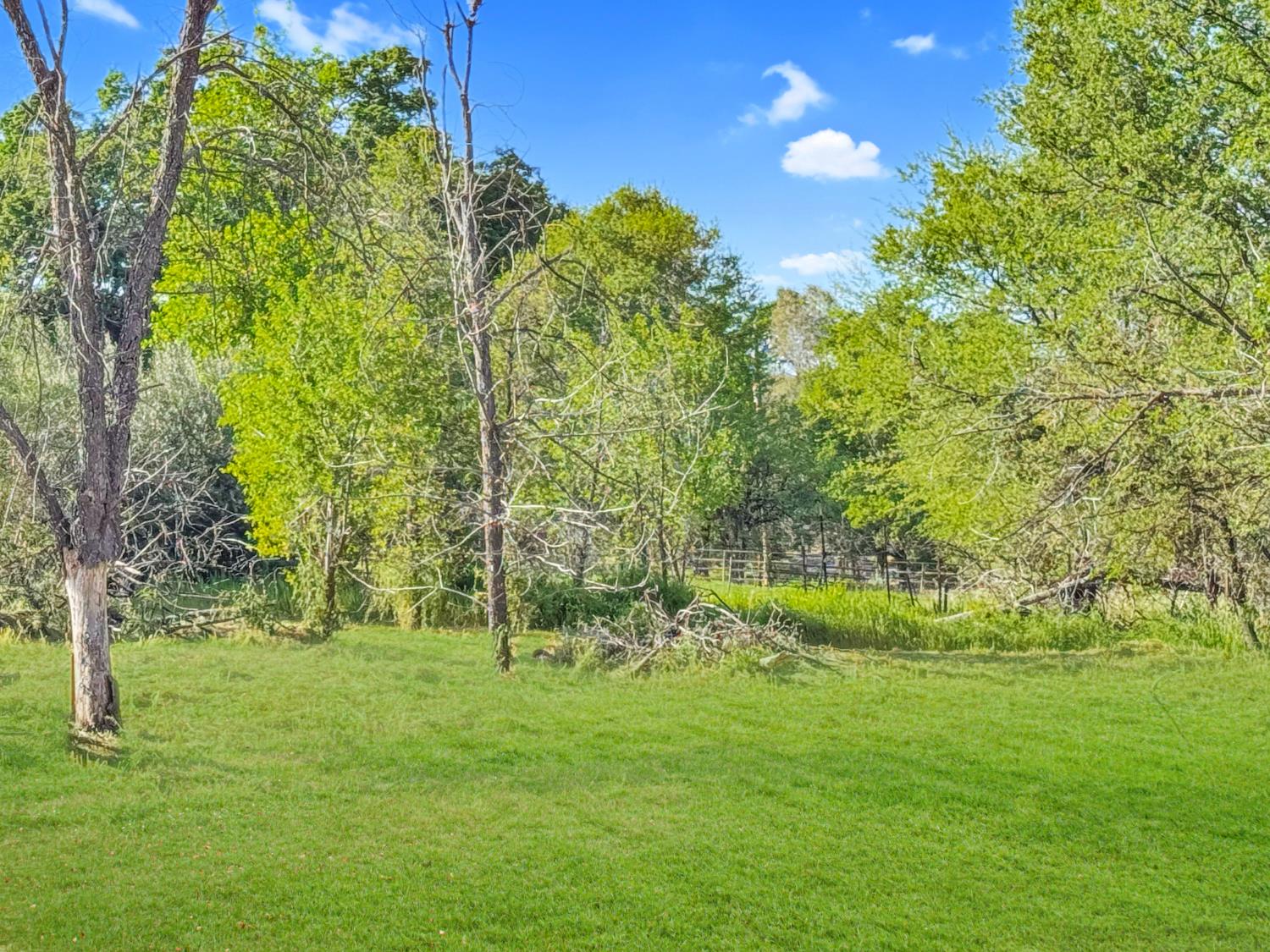 7790 State Highway 16