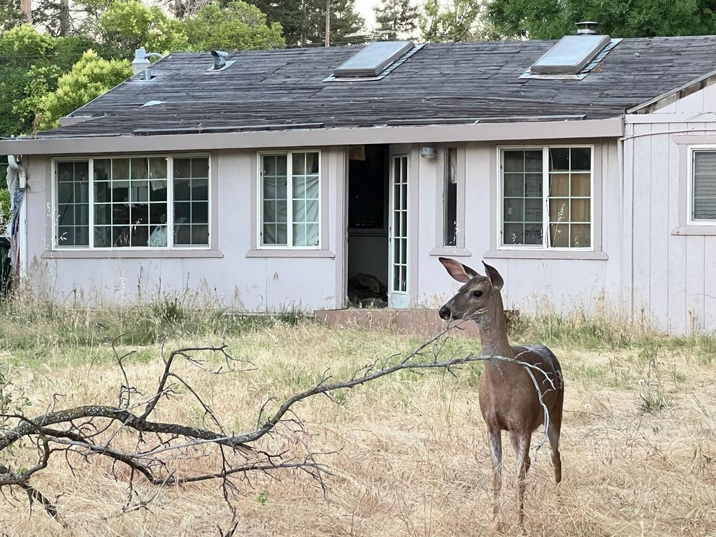 Photo of 3244 Panama Avenue, Carmichael, CA 95608 (MLS # 226017725)