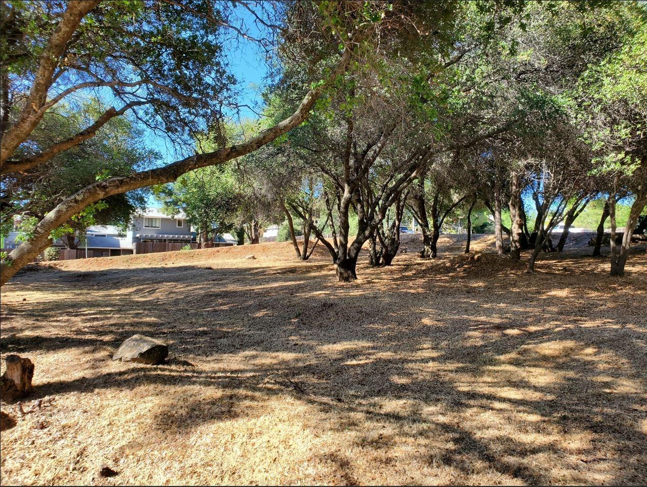 3394 La canada Drive